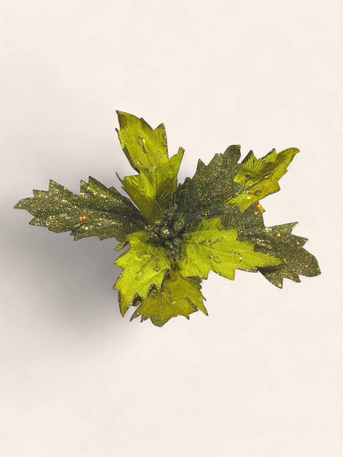Poinsettia, Olive 21" grn gltr