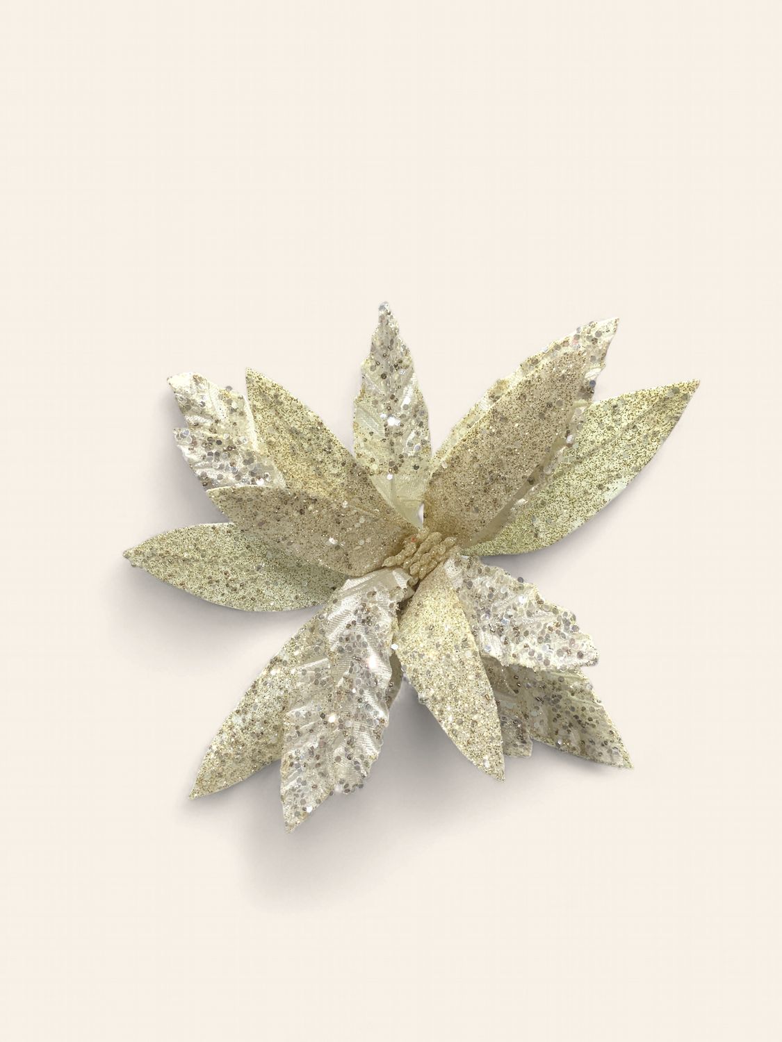 Poinsettia, Ivory Velvet 22" glitter