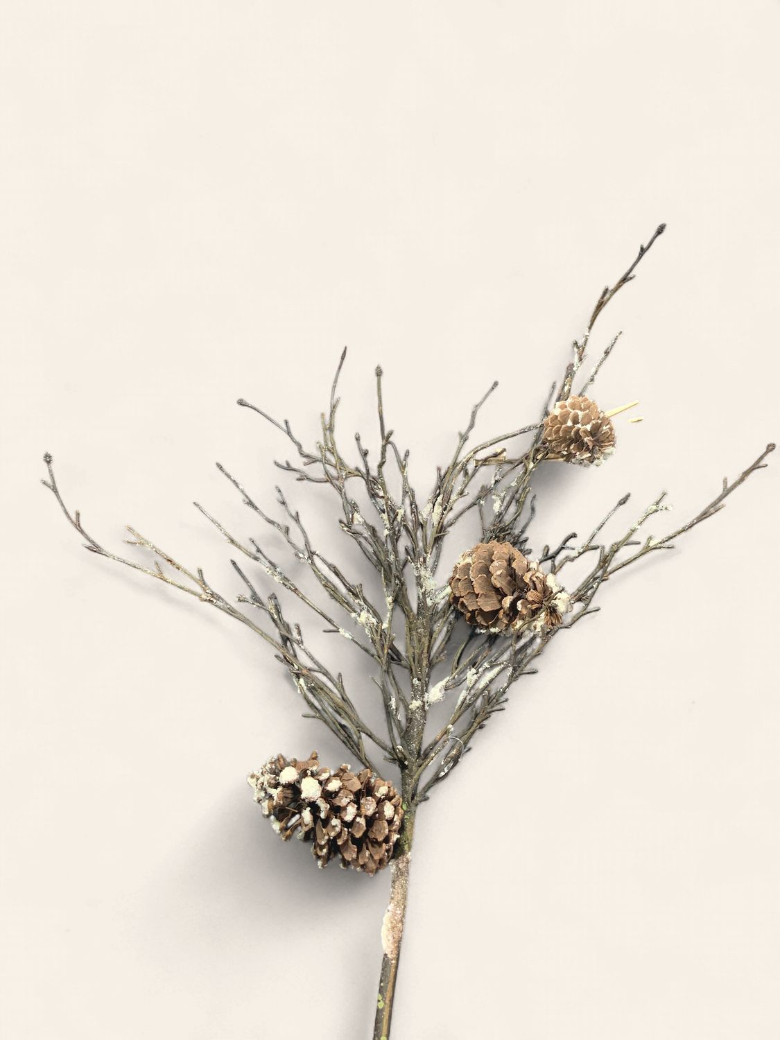 Branch, Snowy Cone Twig 32" natural