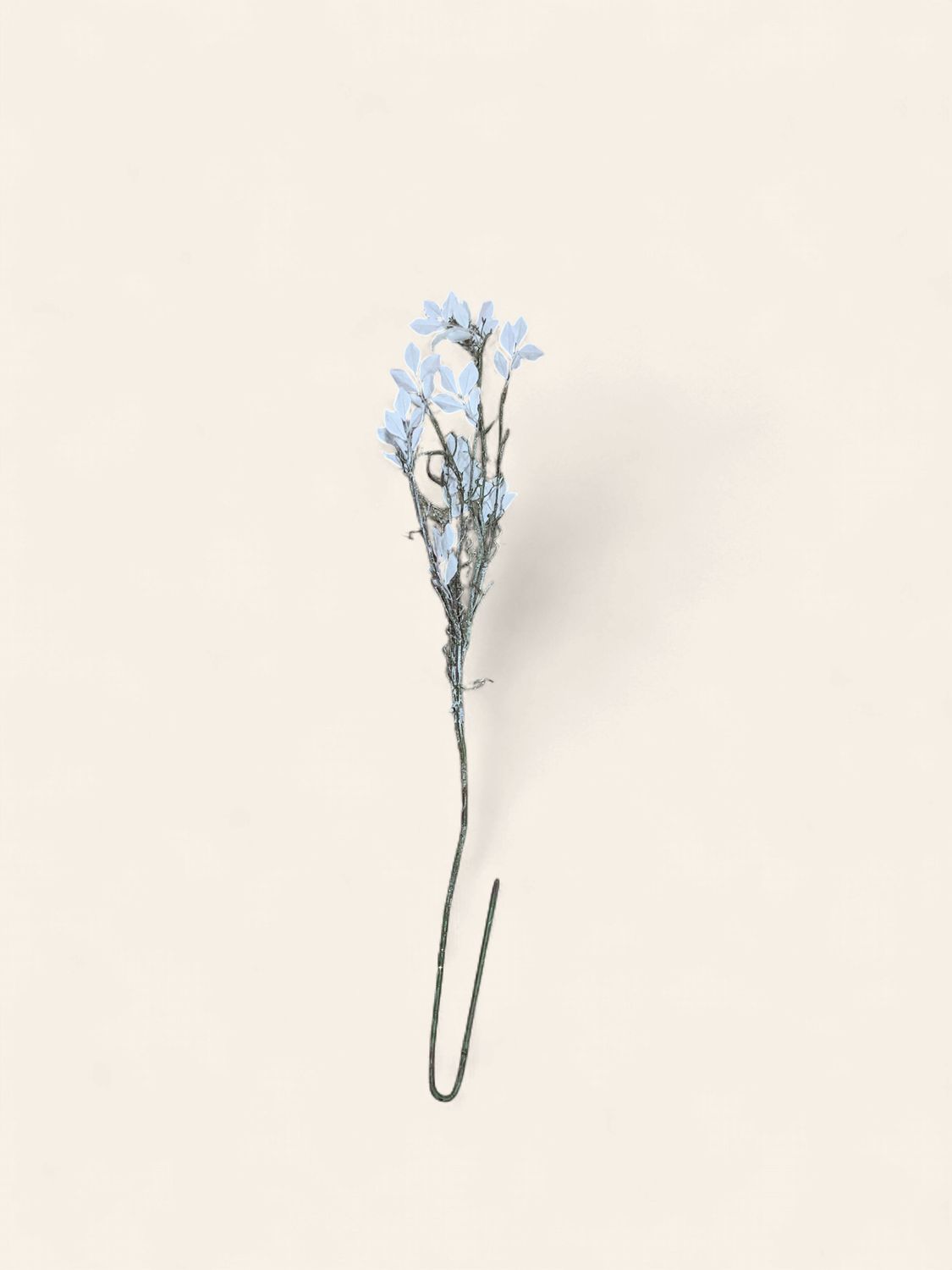 Branch, Smilax Frosted 50" White
