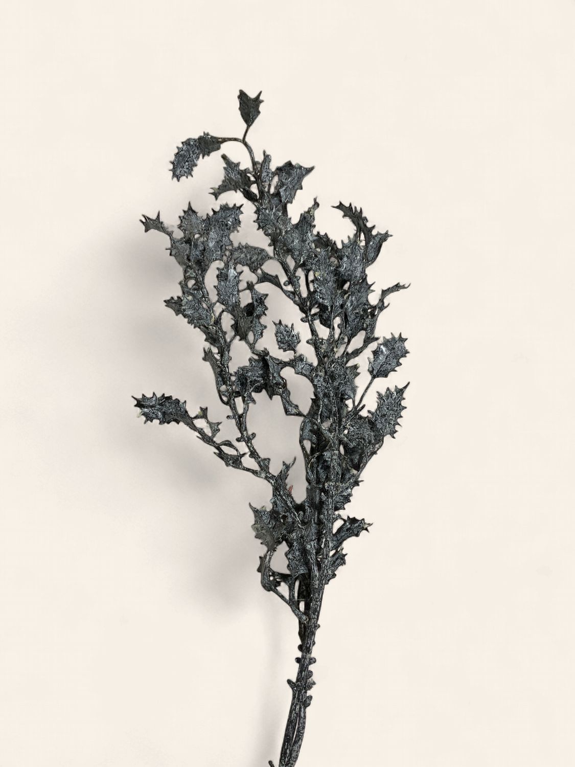Branch, Holly Washed 38" GreyBlue