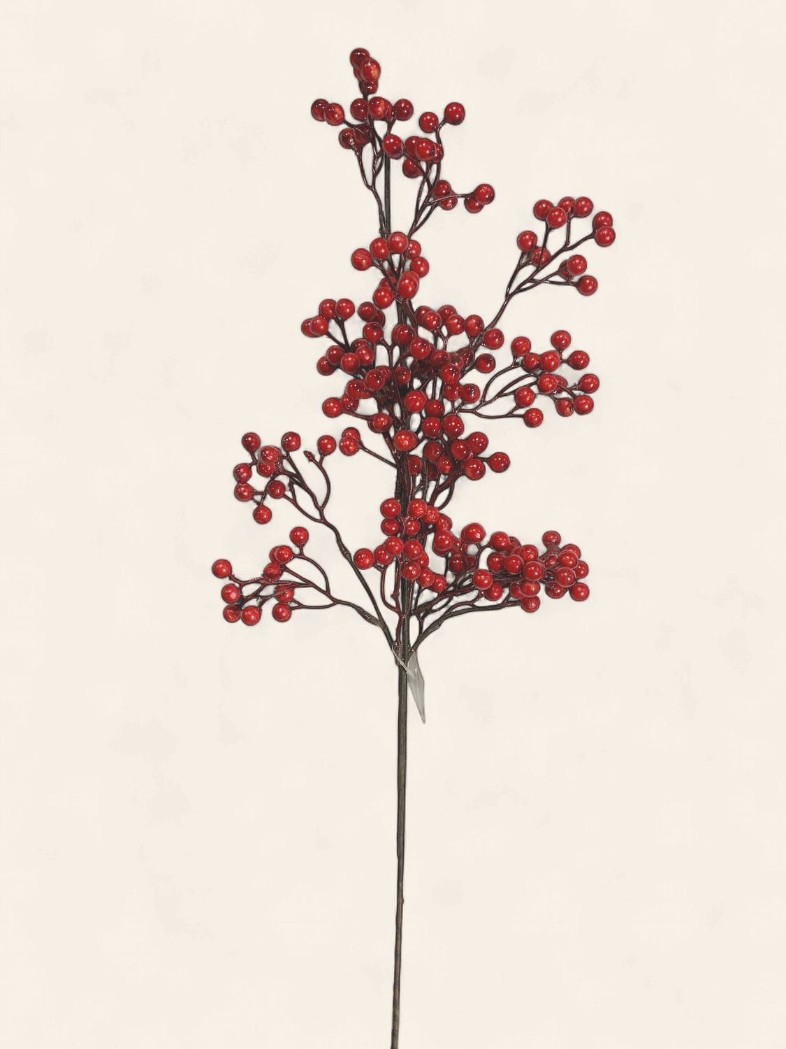 Spray, Berries Sm Bright Red