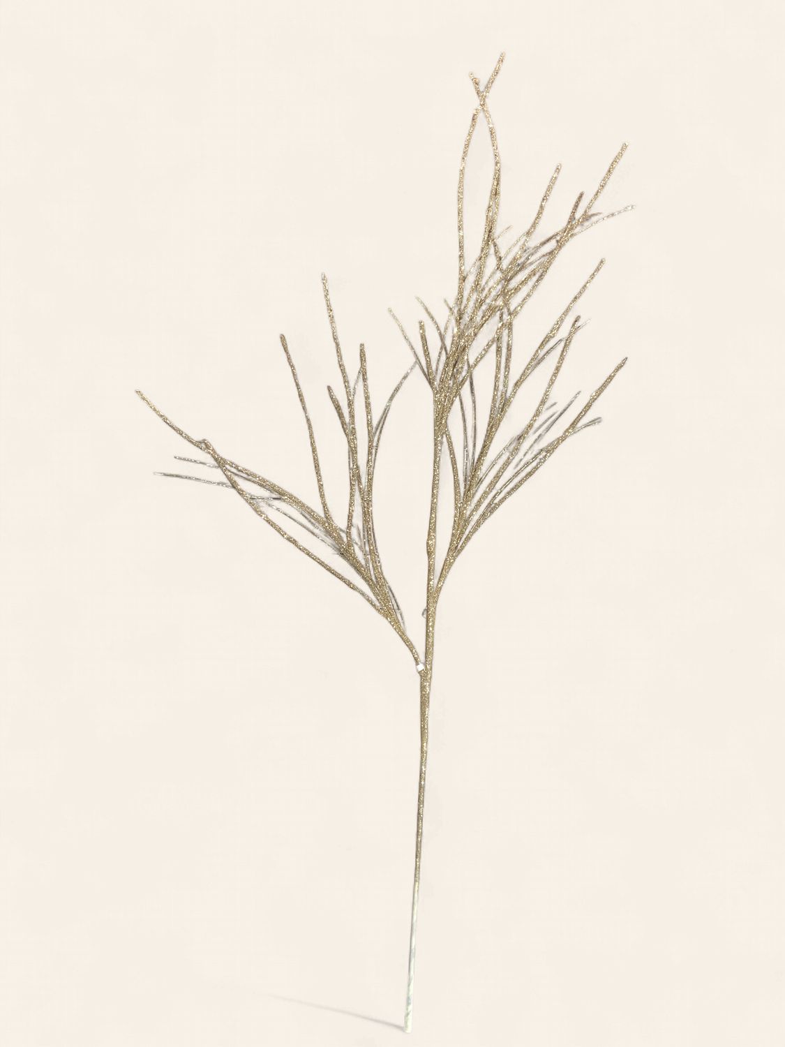 Spray, Curly Willow 32" champ