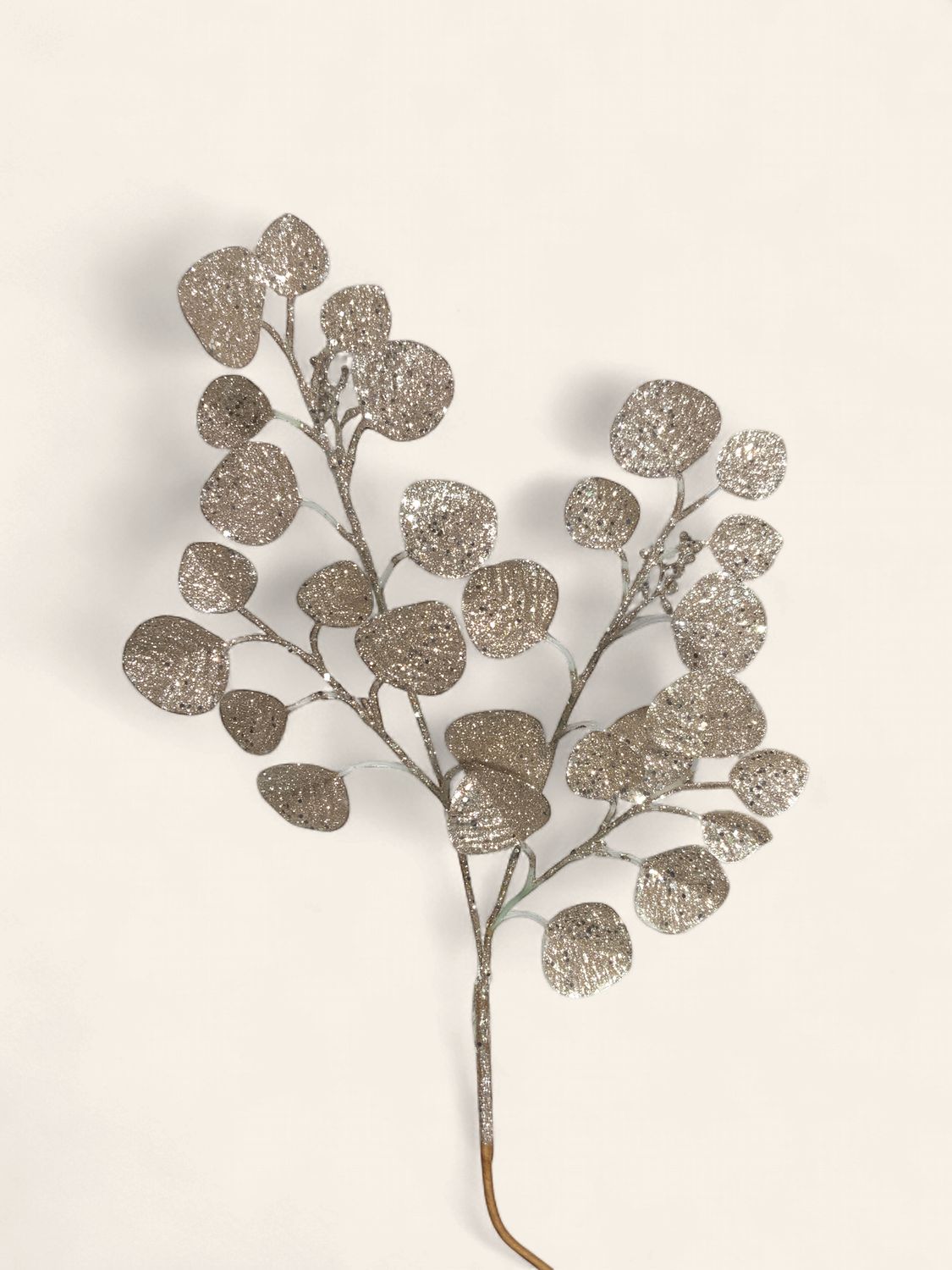 Spray, Eucalyptus 27" platinum