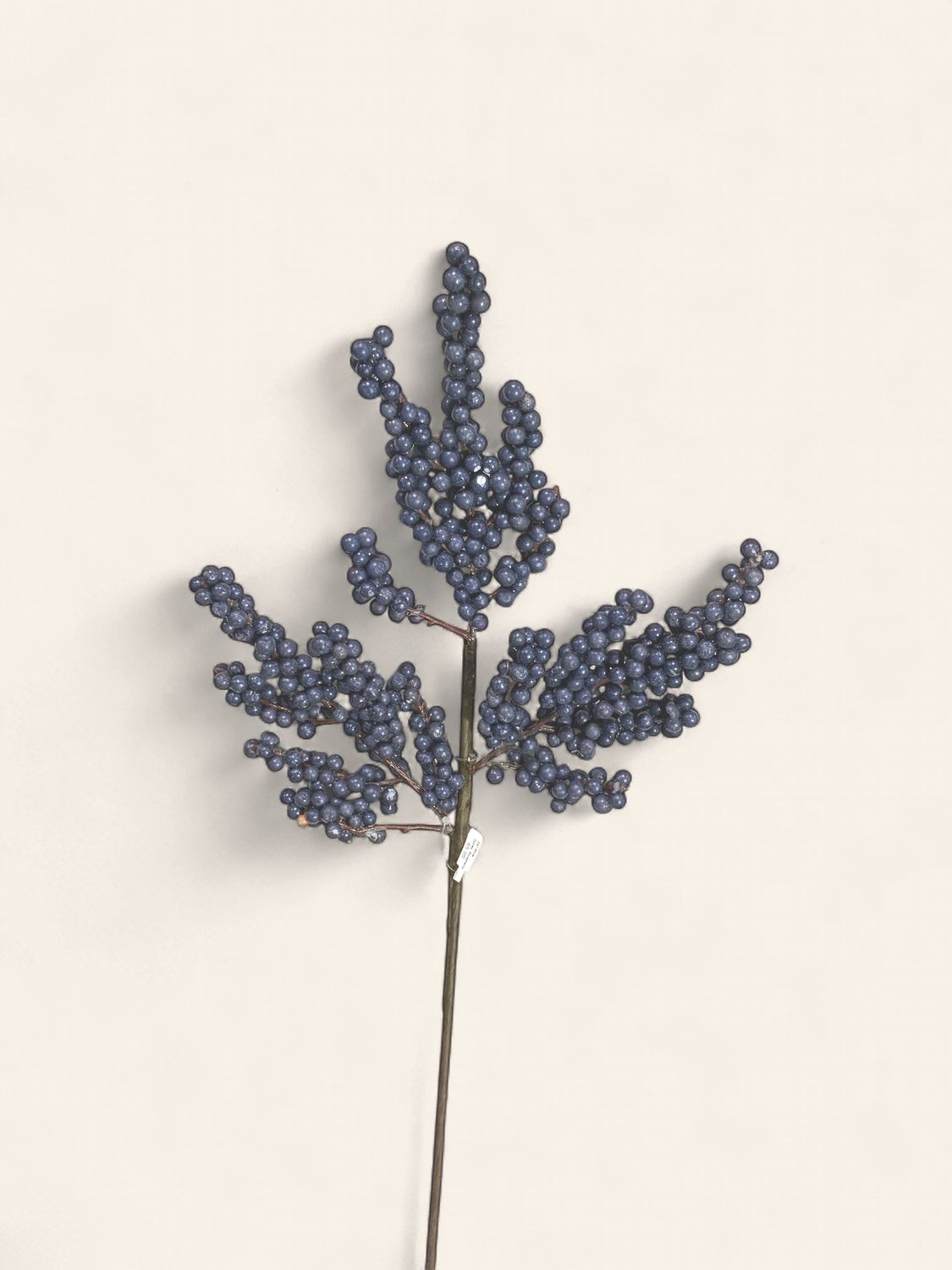 Spray, Blueberry 24" Blue