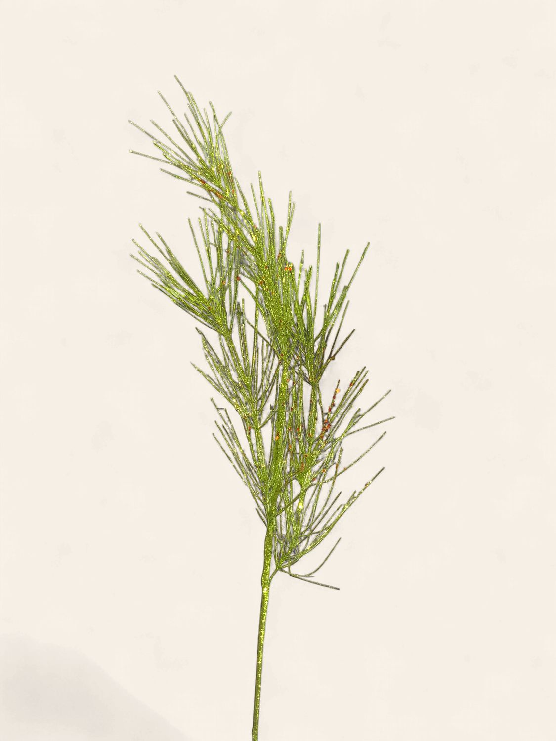 Spray, Needle Pine rd/green