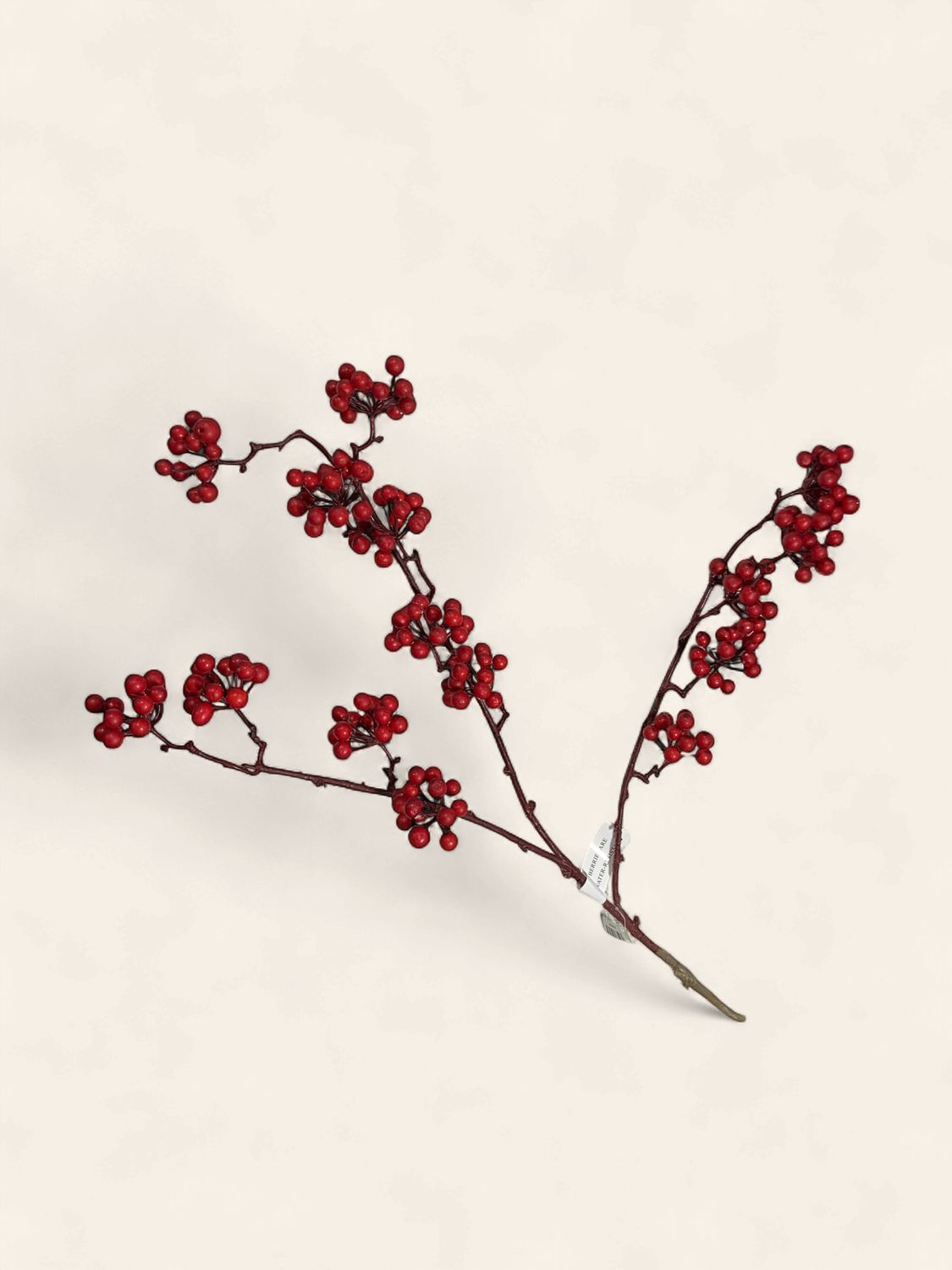 Spray, Elderberry 24 inch