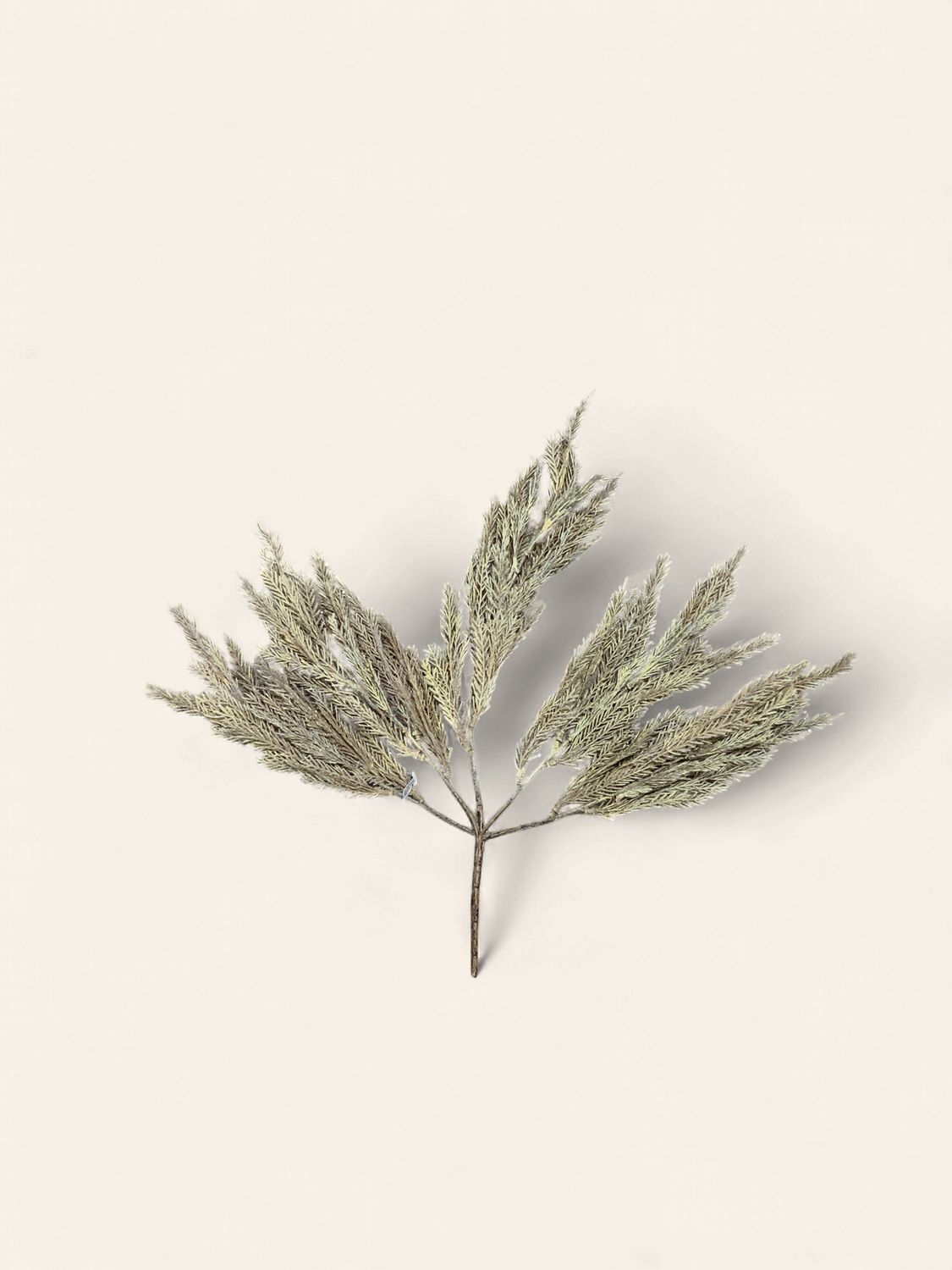 Spray, Grass Bush 21" natural