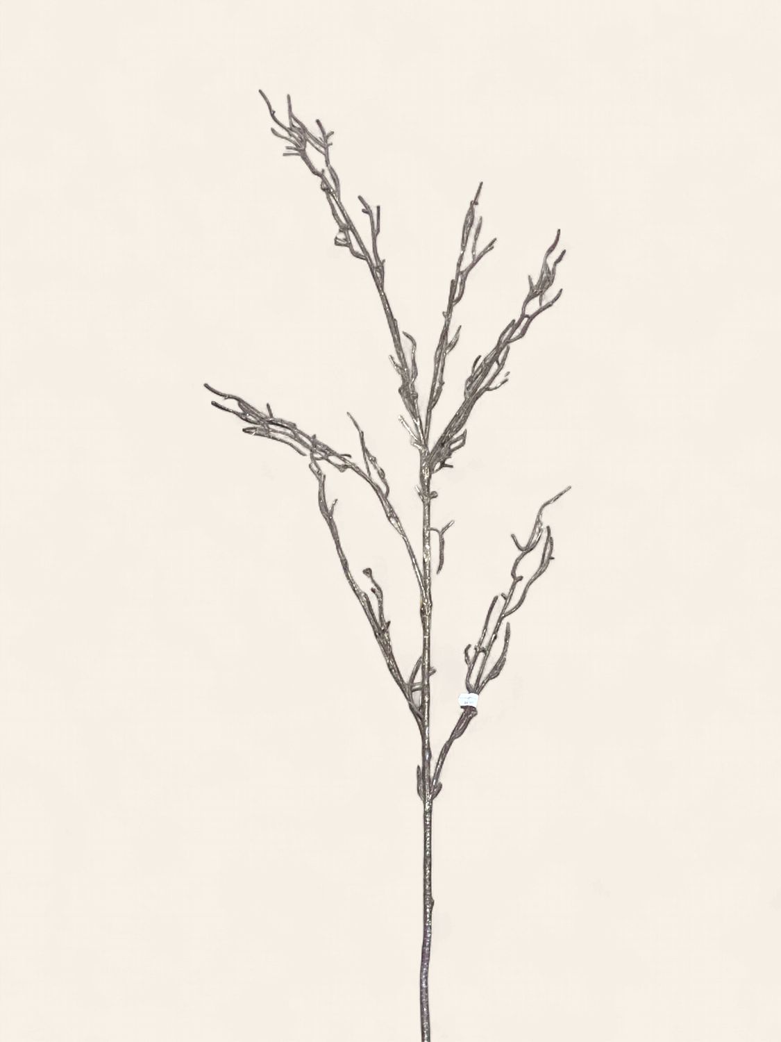 spray, metalic glitter twig 50"