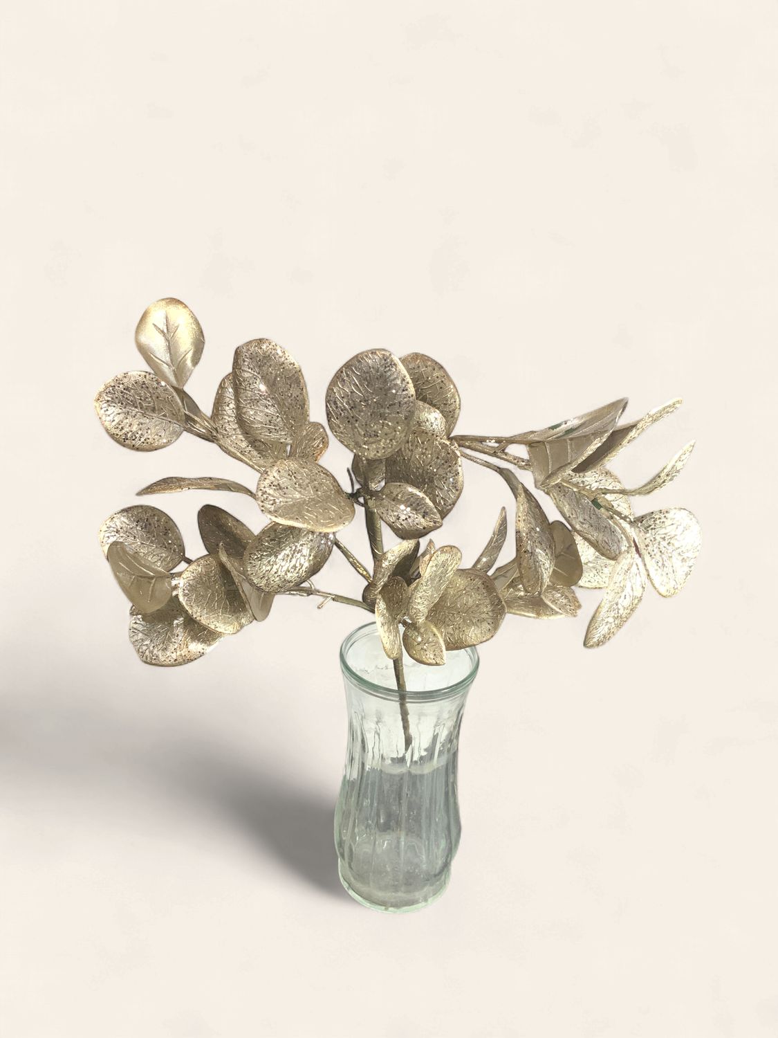 Spray, Ruscus Glitter 26" Champgn