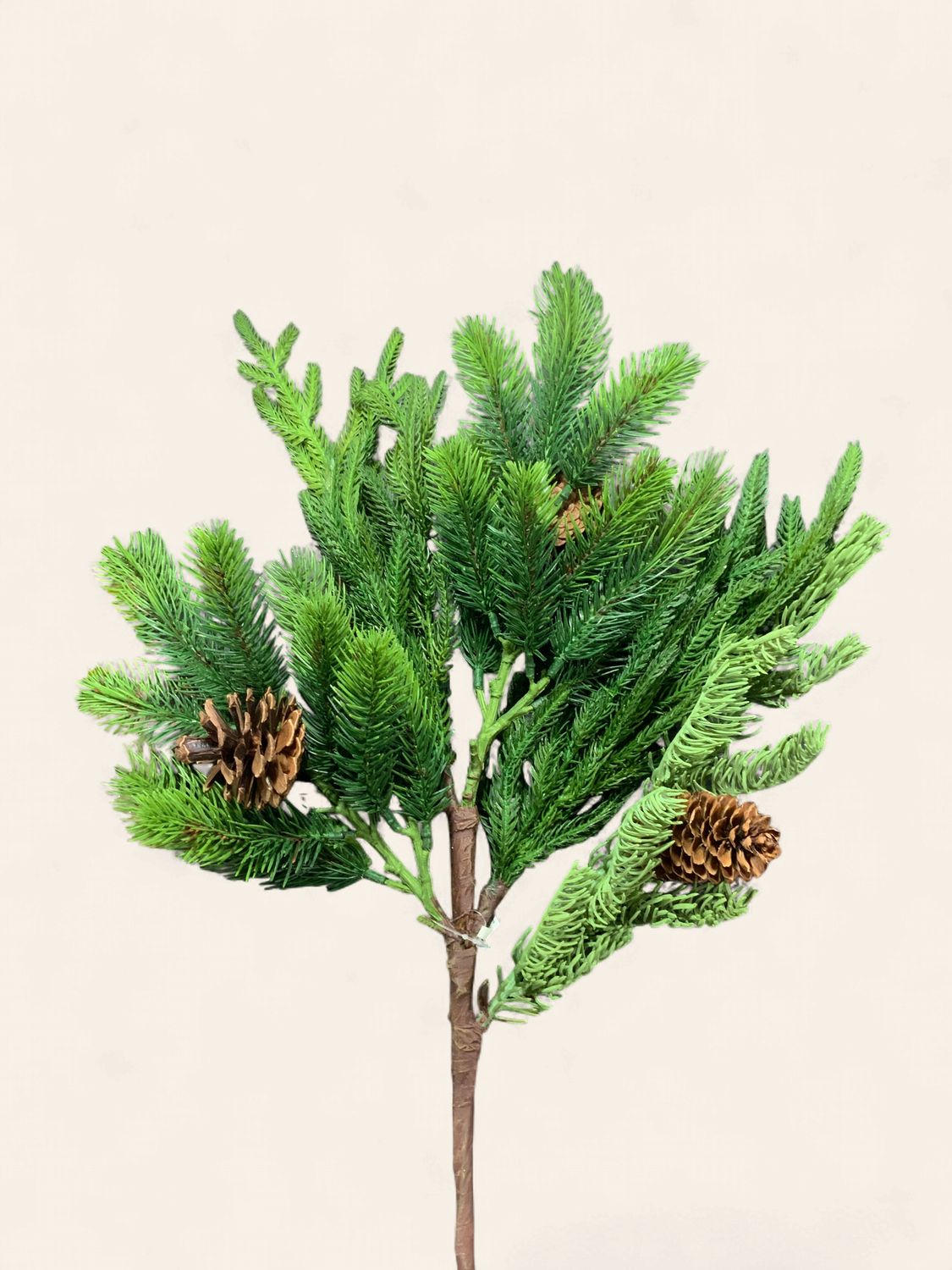 Spray, Norfold Spruce Juniper 24"w/pncone