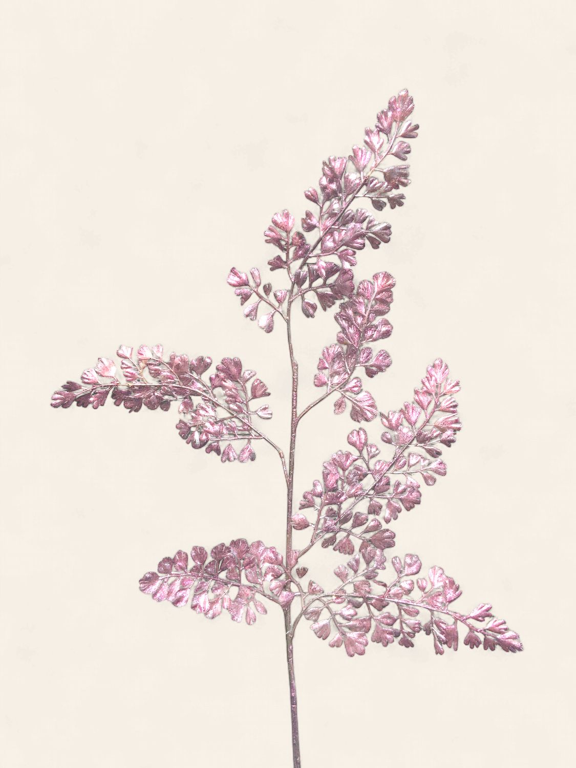 Spray, Metallic Fern 27" Purple