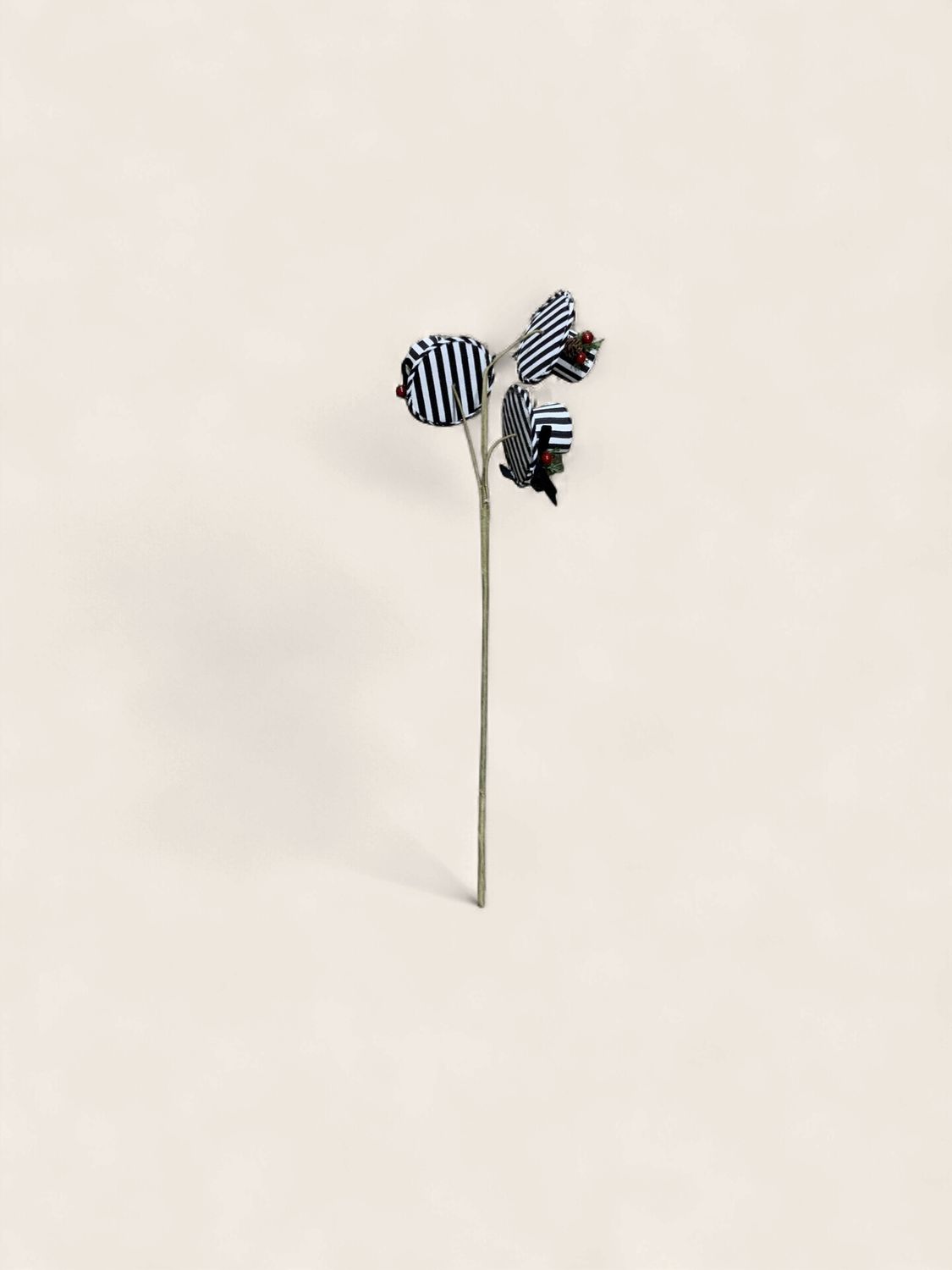 Spray, Top Hat Black Stripe