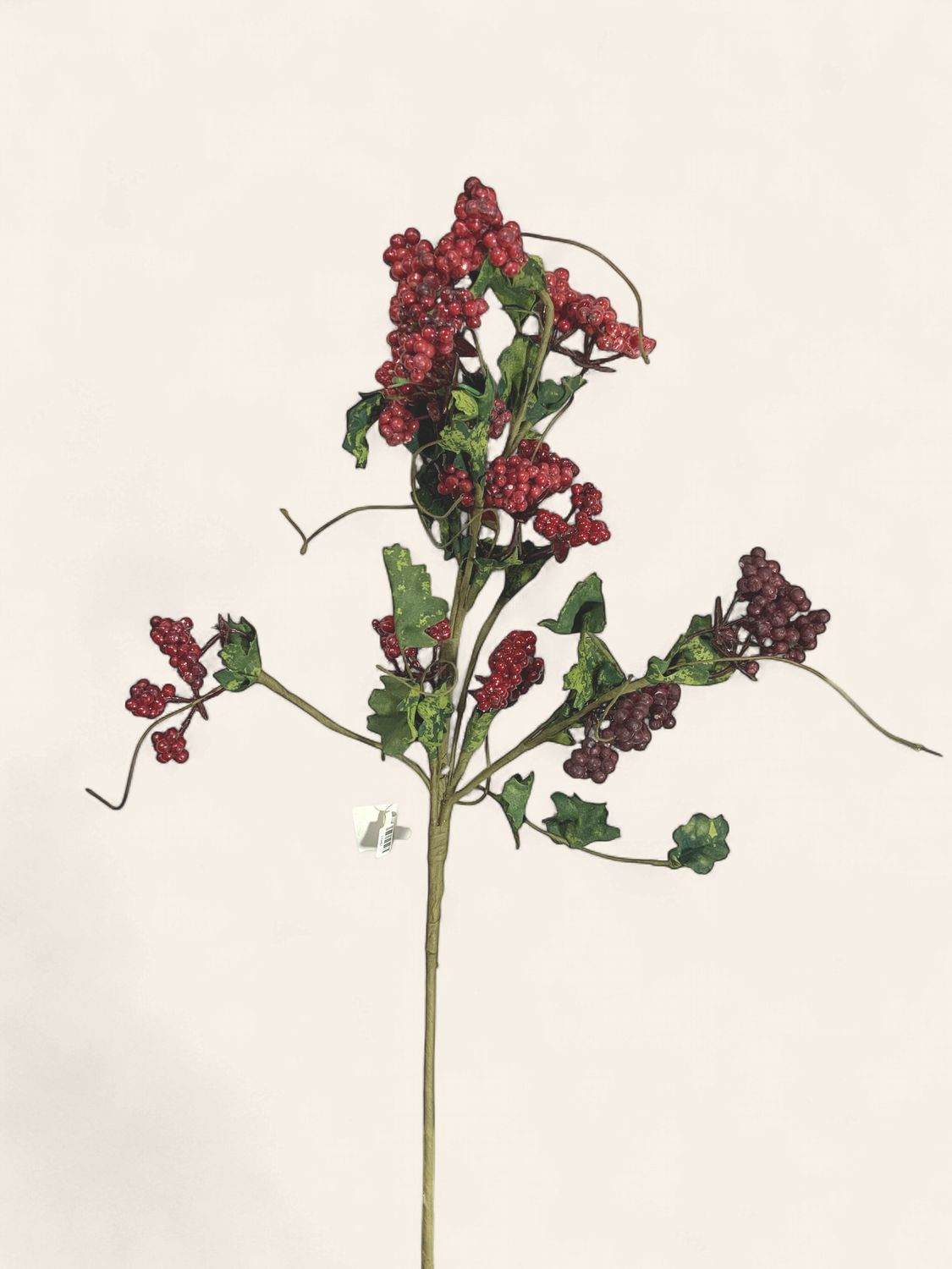 Spray, Grape Berry Cluster 24" R/grn