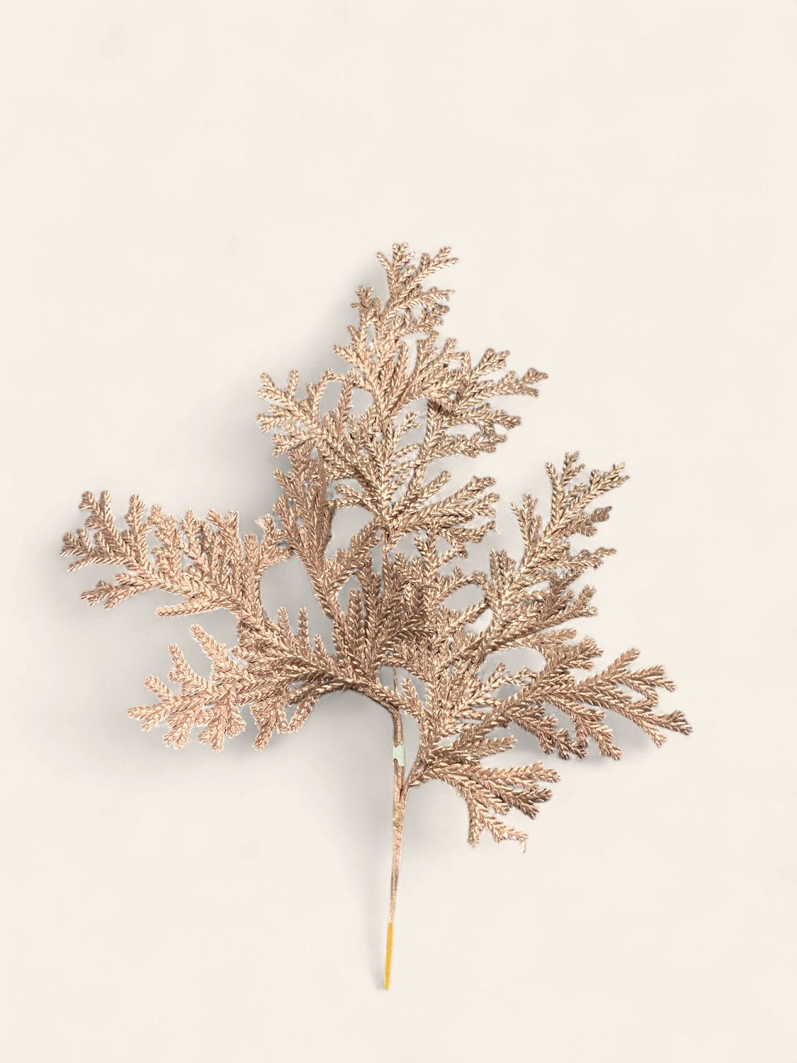 Spray, Rose Gold 22"