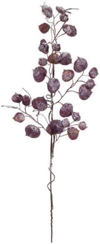 spray, snowy purple cottonwood 33"