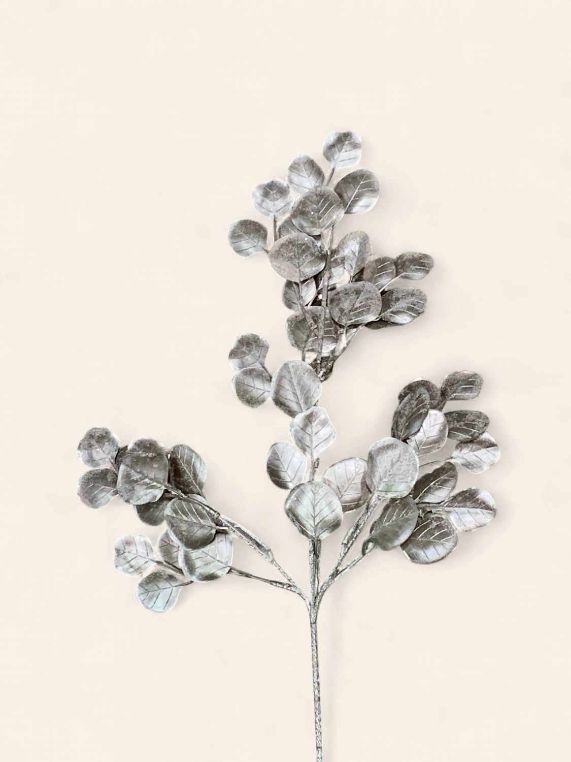 Spray, Silver Dollar 21"Champagne