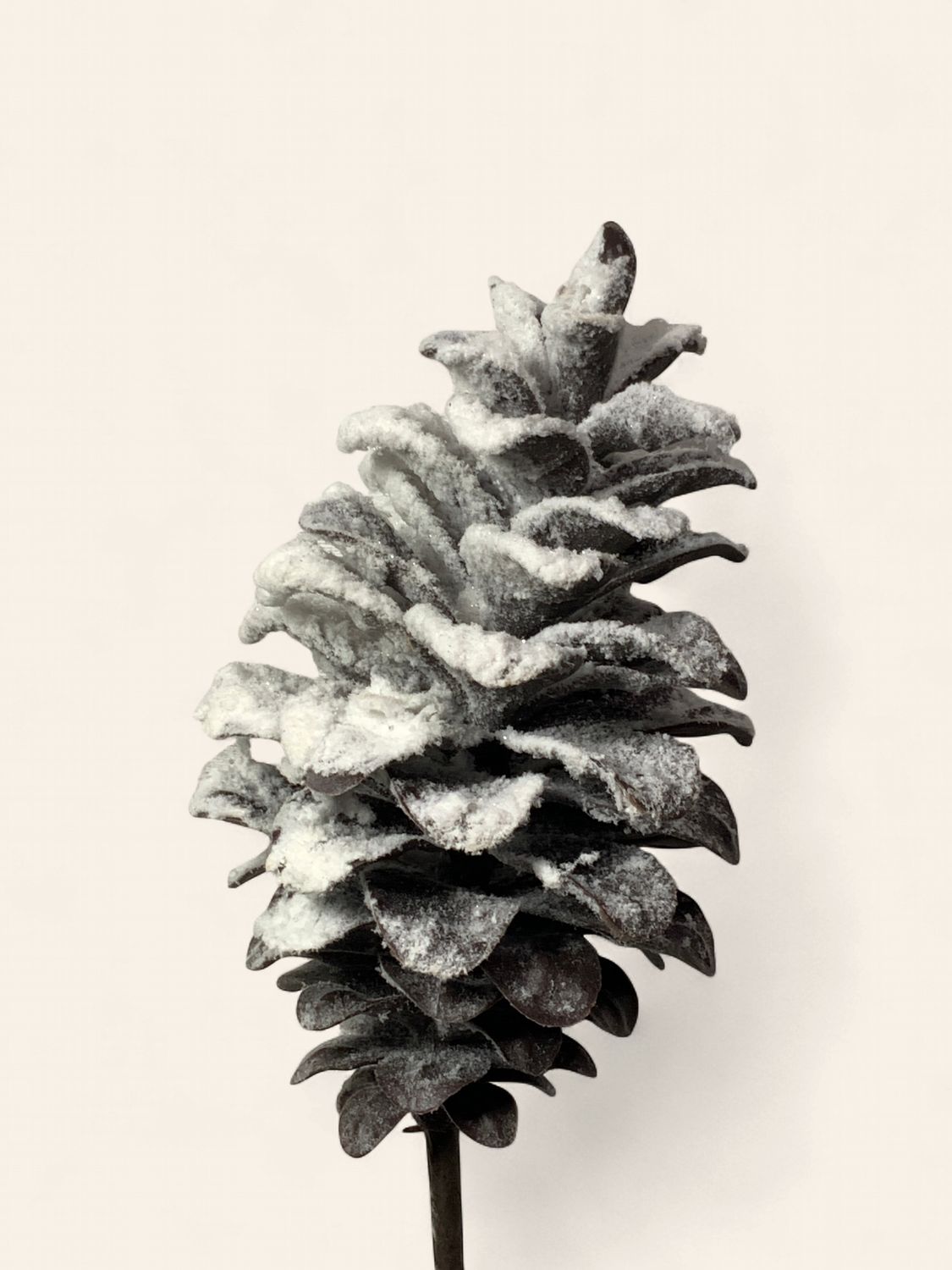 Spray, Snow Pinecone Gltr 31" single