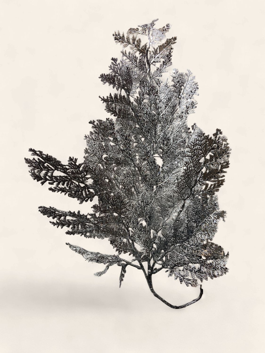 Spray, Metallic Juniper 30" Platinum
