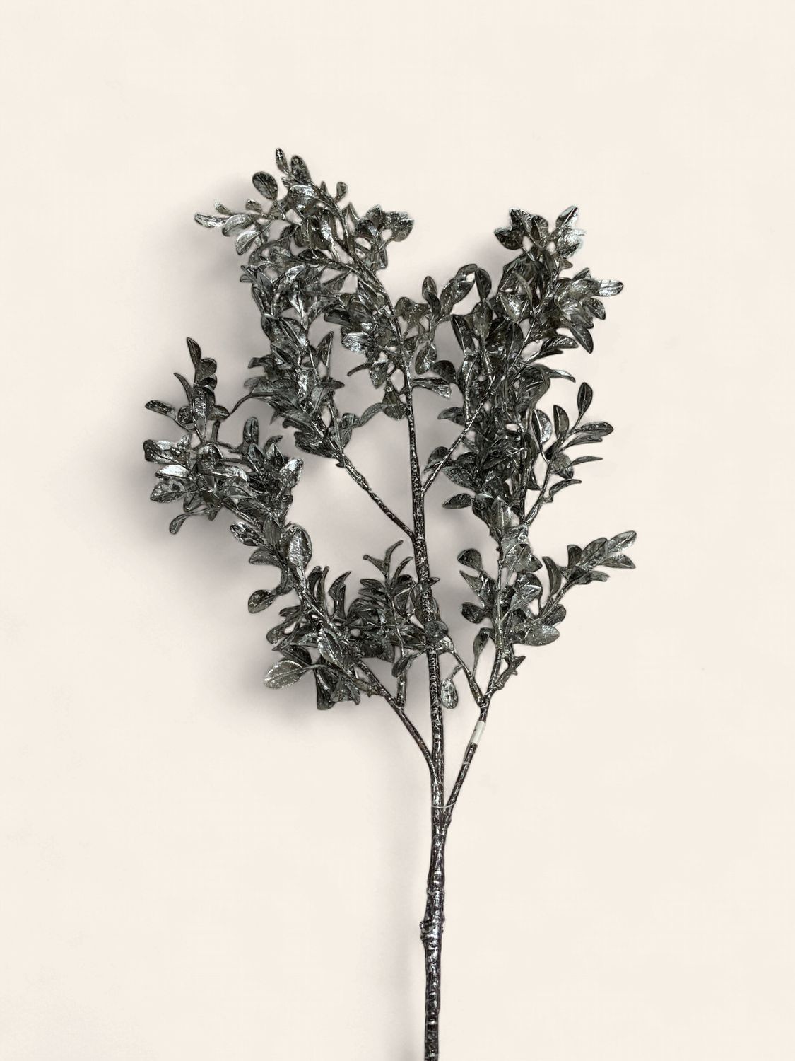 Spray, Metallic Boxwood 40"Char/Silv