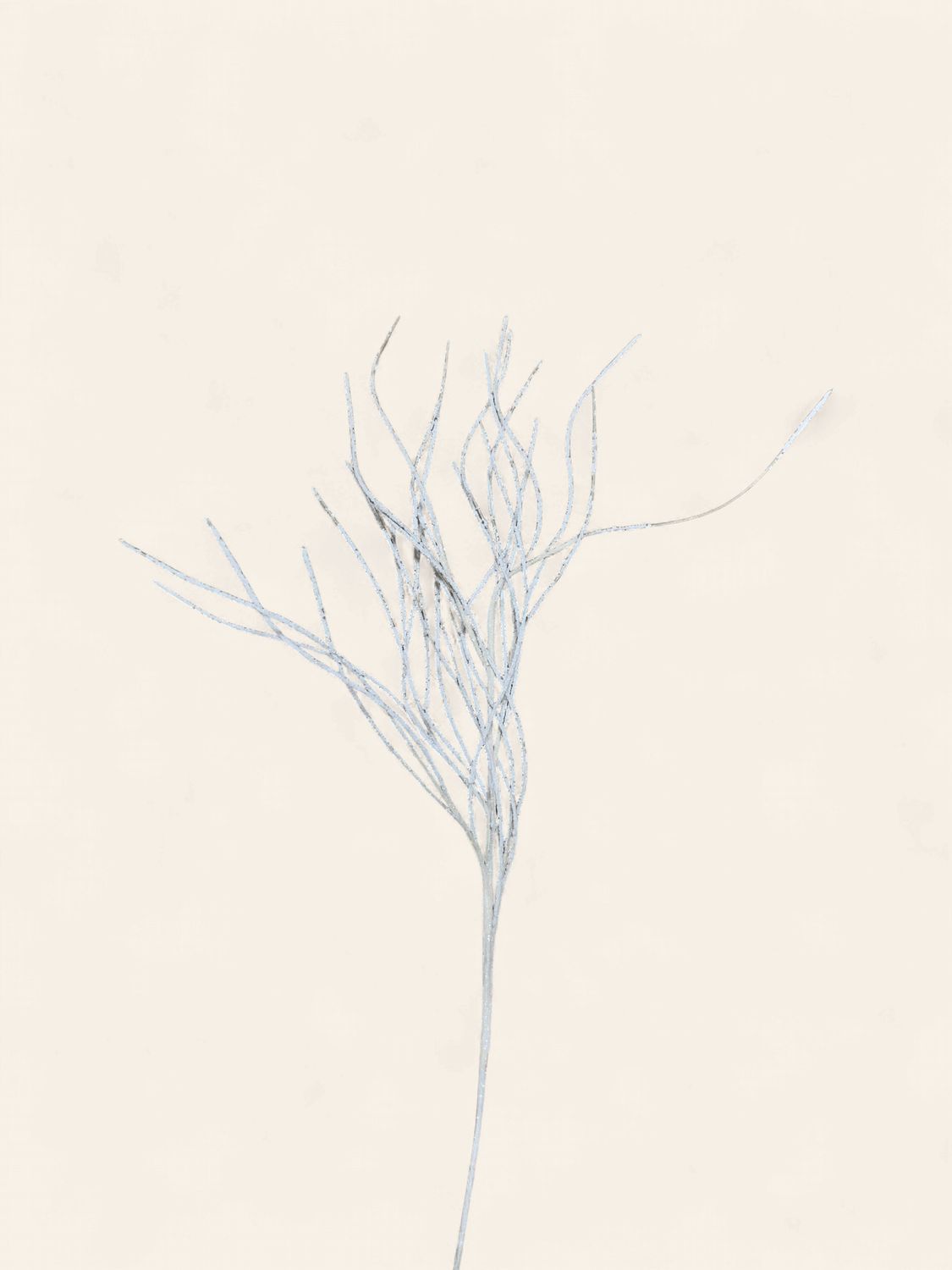 Stem, Iced Willow 45" white