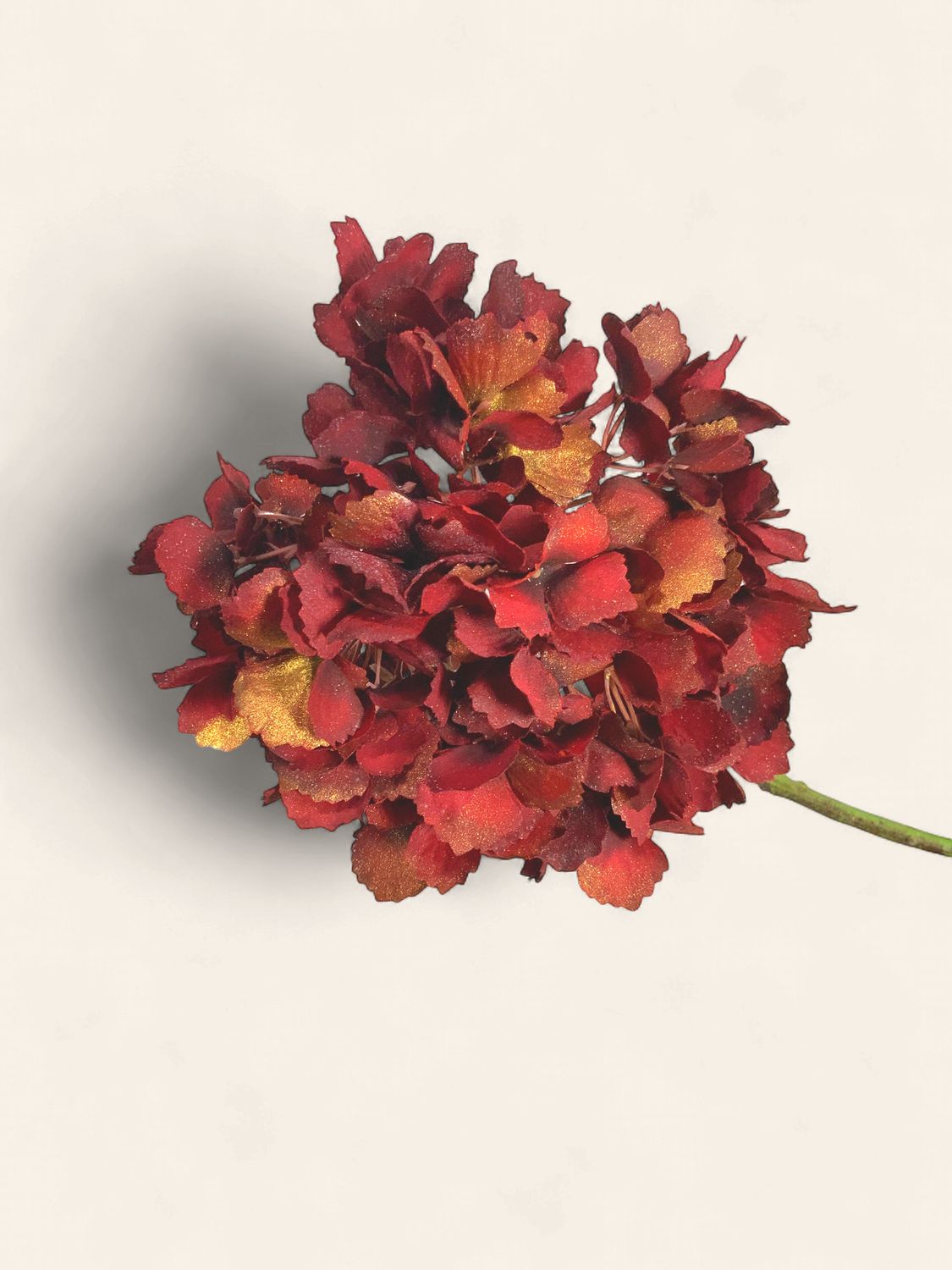 Stem, Red Hydrangea 20"