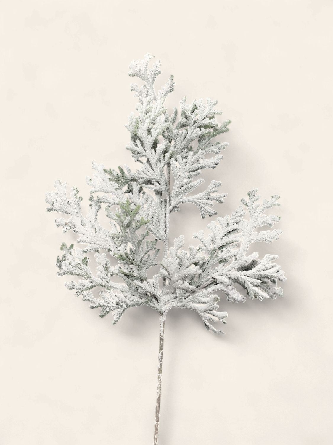 Cedar Spray, 21" Snow Flat greens