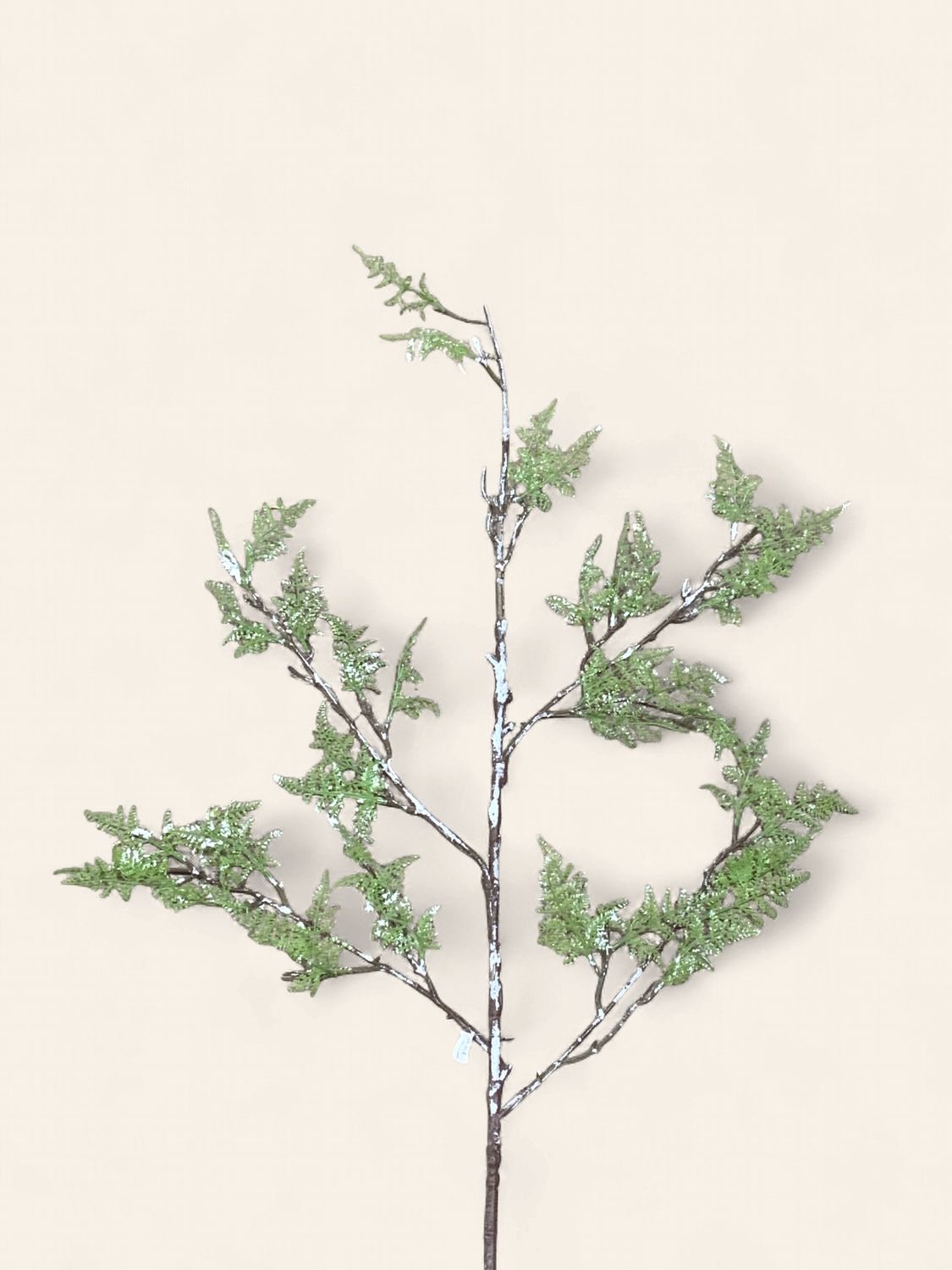 Frosted Fern Stem 39" lime grn