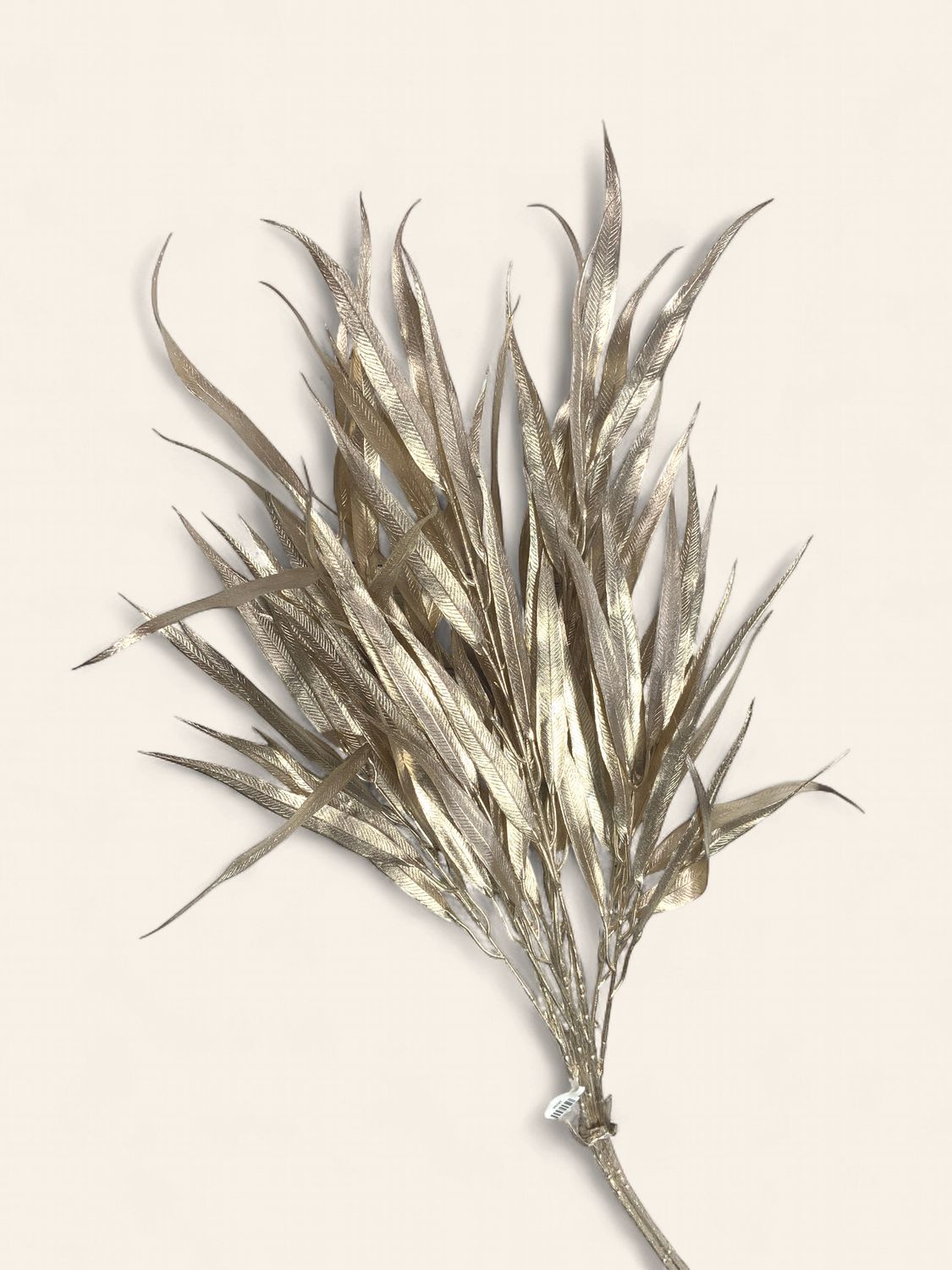 Gold Eucalyptus Bundle shiny