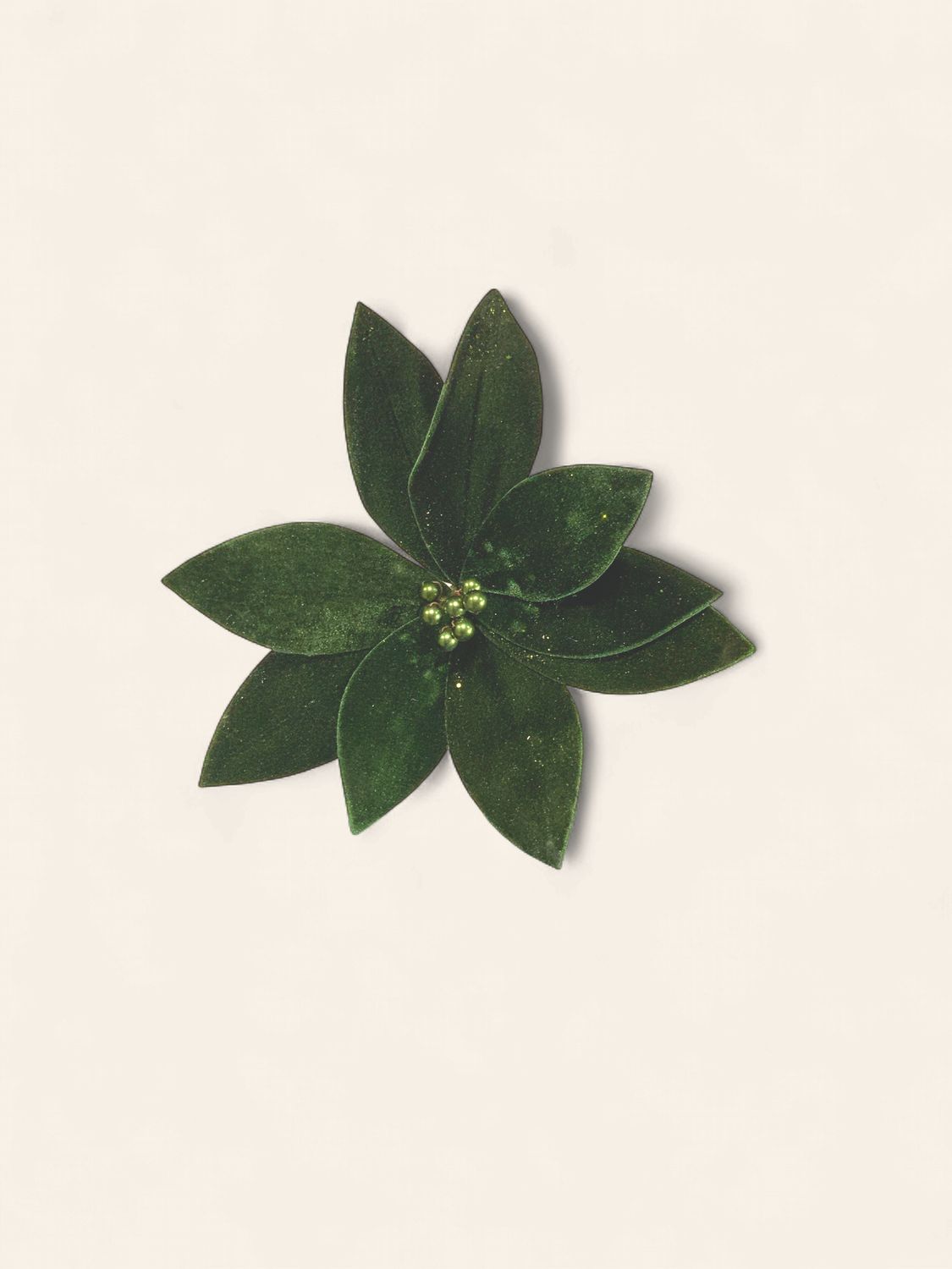 Stem, Velvet Poinsettia