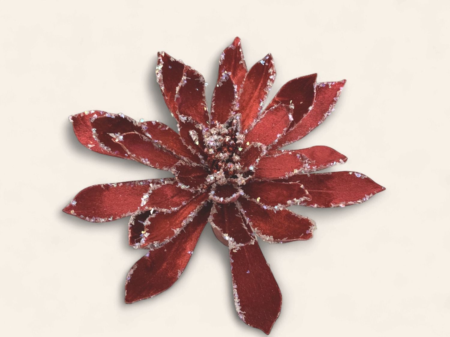 Pick, Frost Echeveria 14x10 Burg