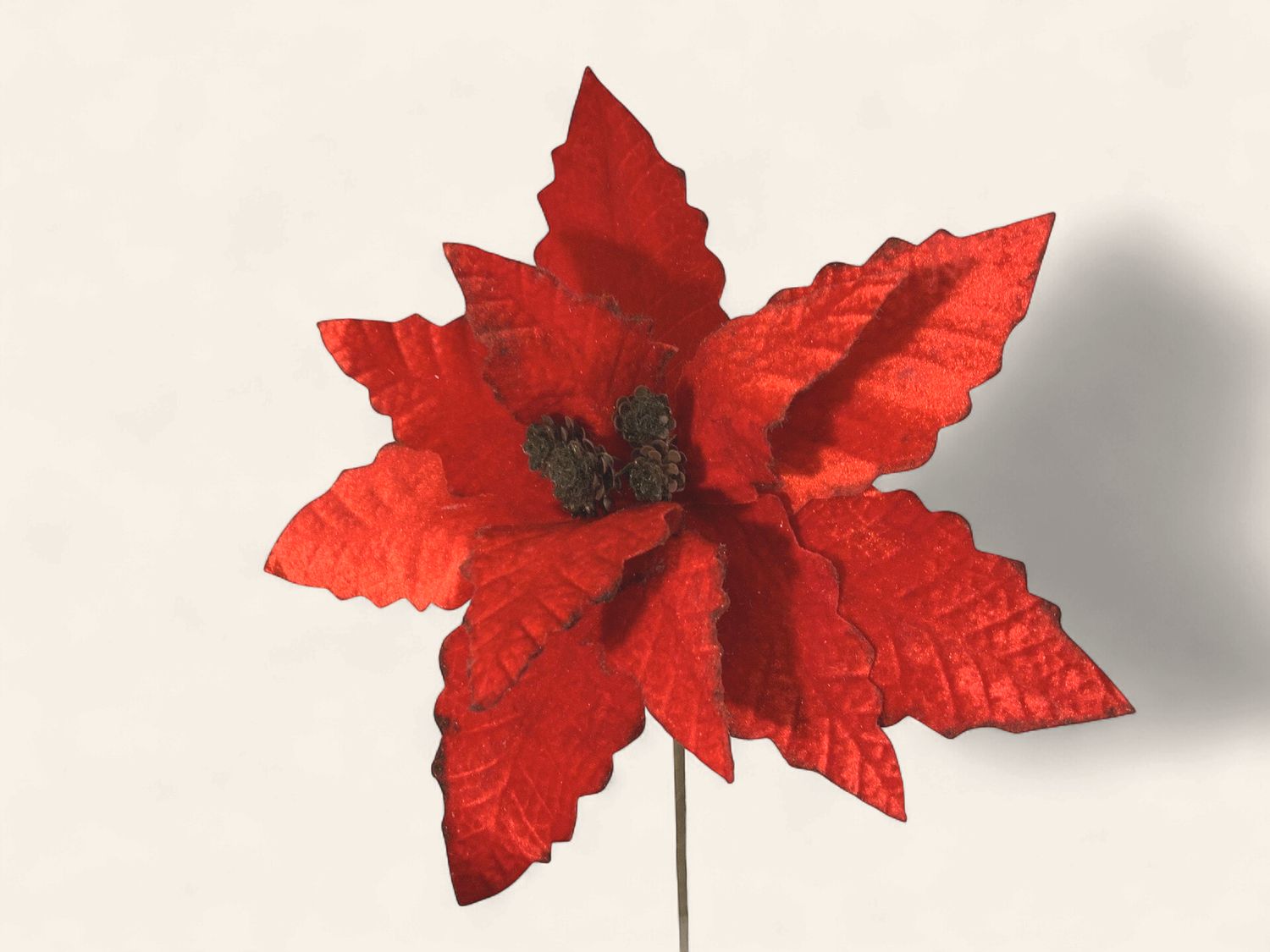 Poinsettia, Velvet Felt Red blk edge