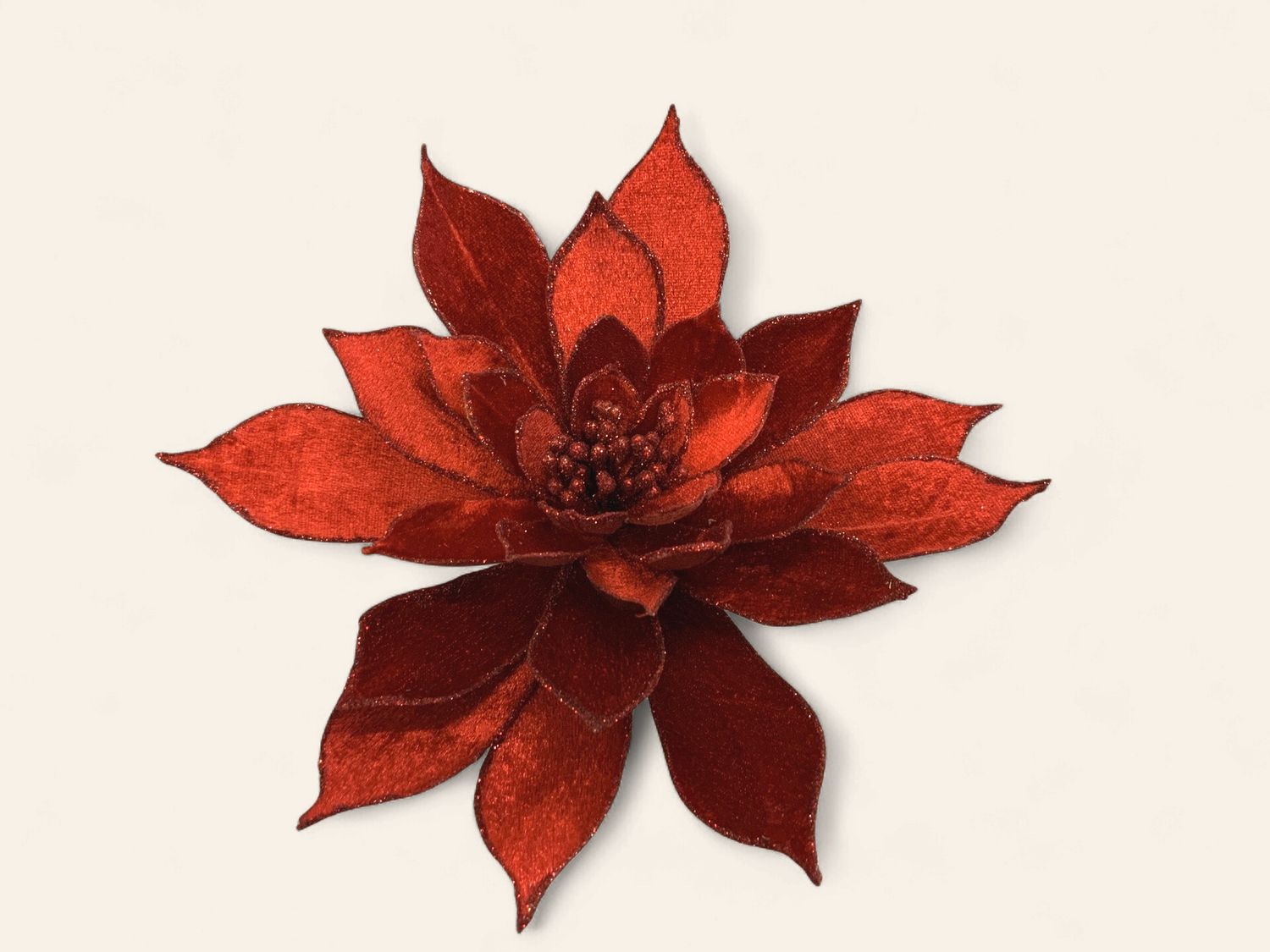 Pick, Echeveria Gltr Edge 14" red