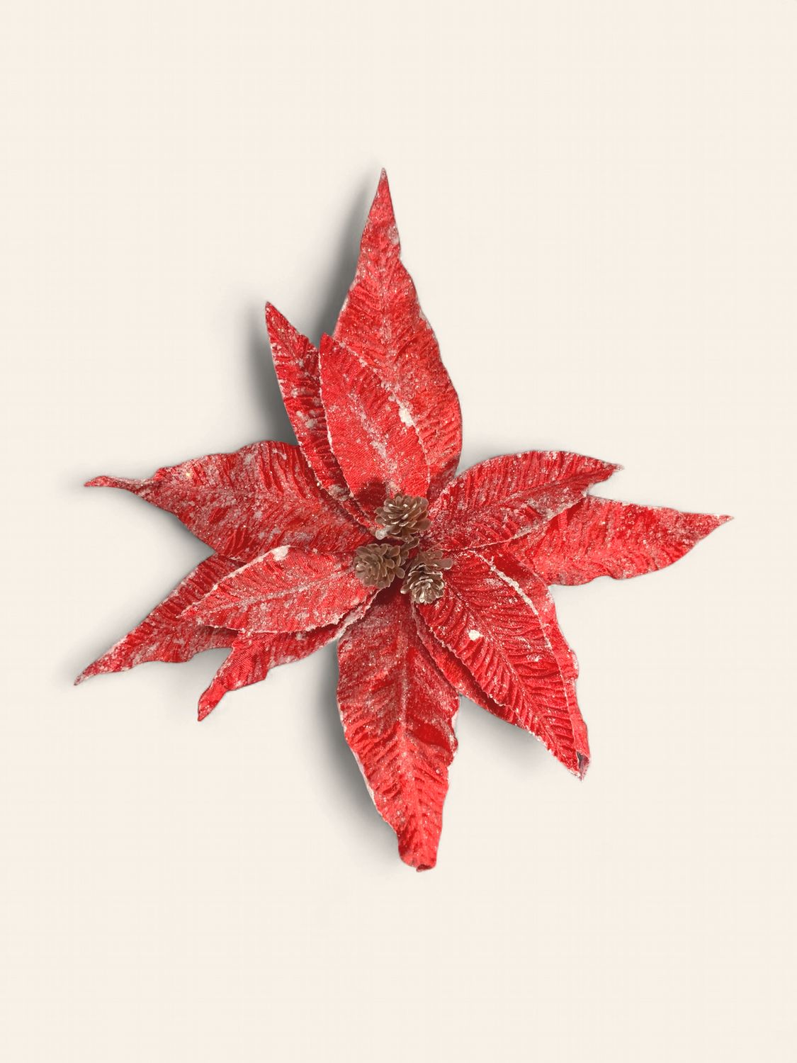 Spray, Frosted Poinsettia 22" Red Iced