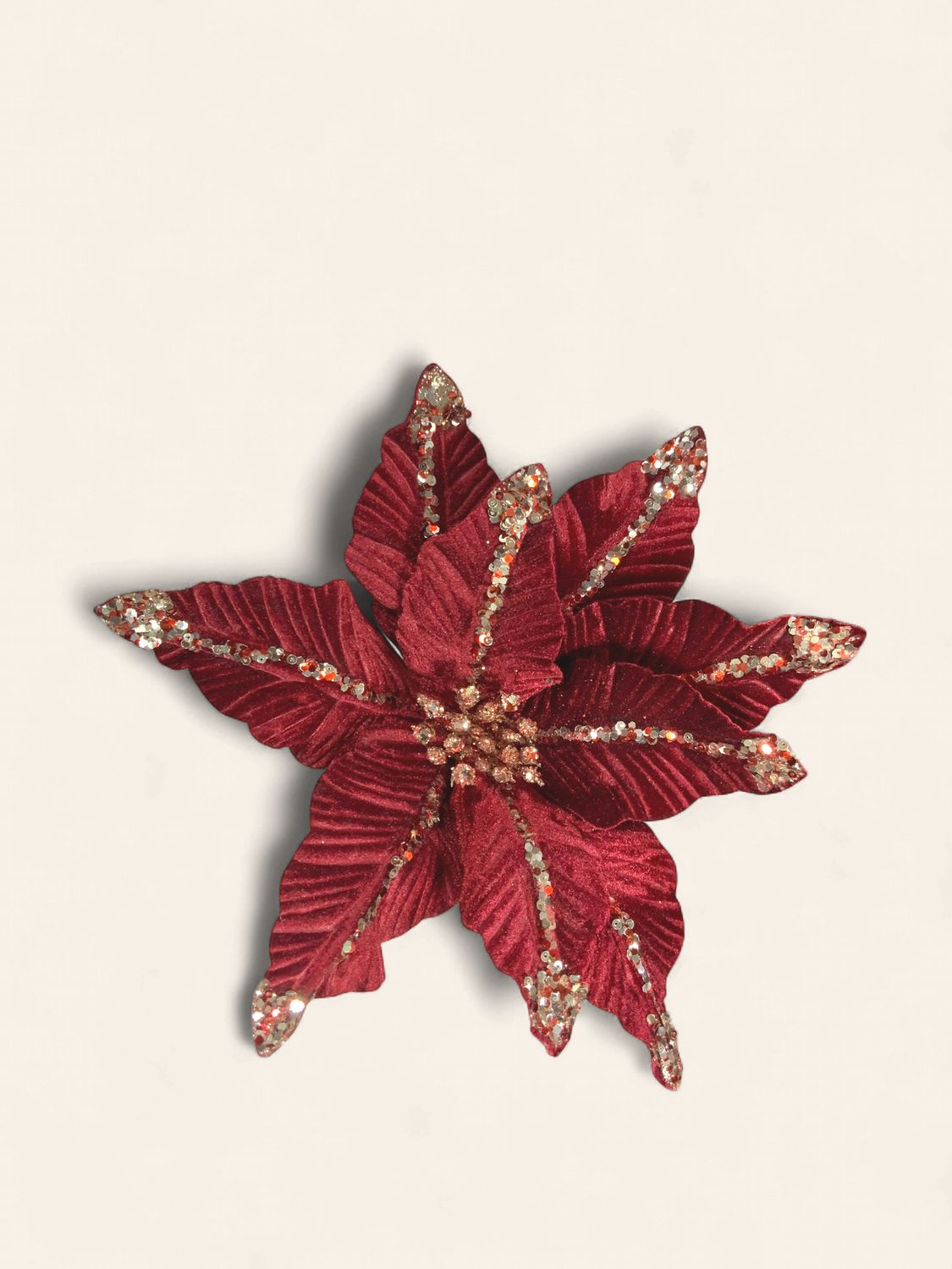 Poinsettia, Burgendy