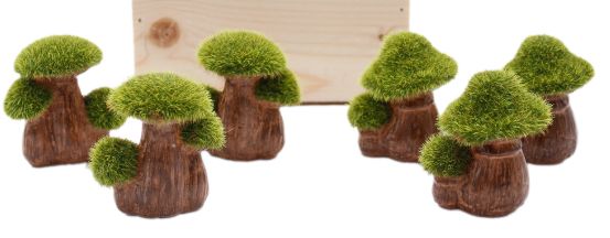 Tabletop, Mossy Mushrooms