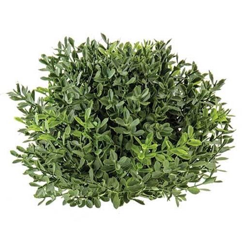 Faux Orb, New England Boxwood Half Sphere 7"