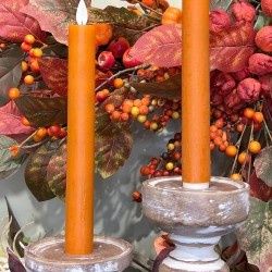 Candle, Burnt Orange 9" Set/2 B/O, Taper