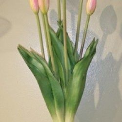 Bundle, 17.5" Pink Tulips