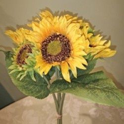 Bundle, 13.5" Sunflower