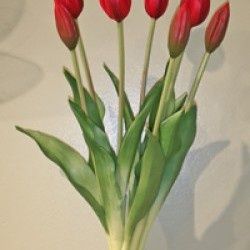 Bundle, 17.5" Red Tulips
