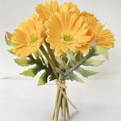 Bundle, 13.5" Yellow Gerbera