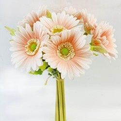 Bundle, 13.5" Peach Gerbera