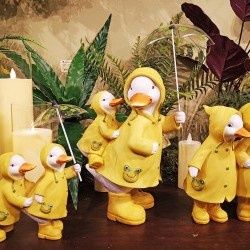 Figurine, Ducks in Raincoats 3 Asst 11"/11.5/13