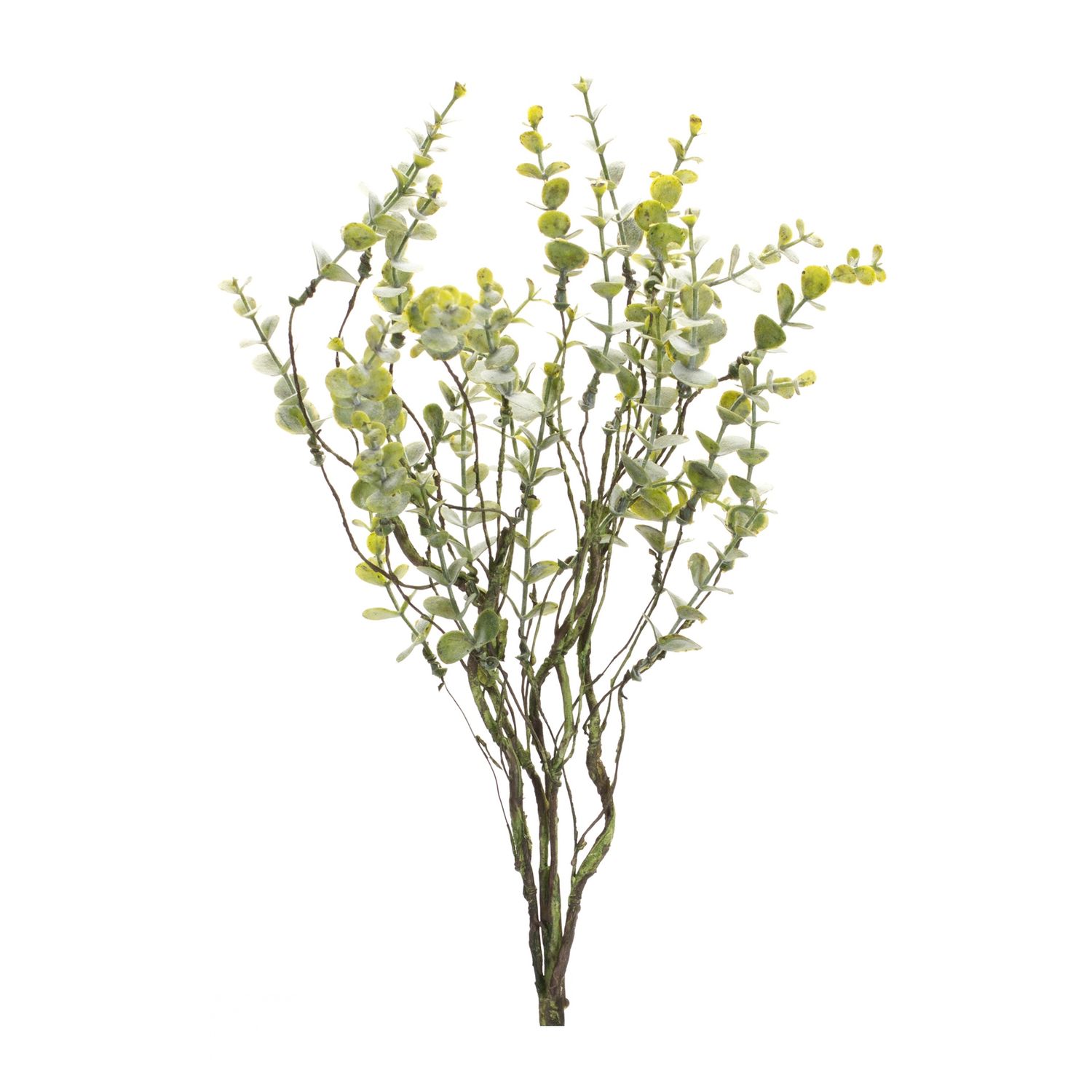 Spray, 18" Boxwood