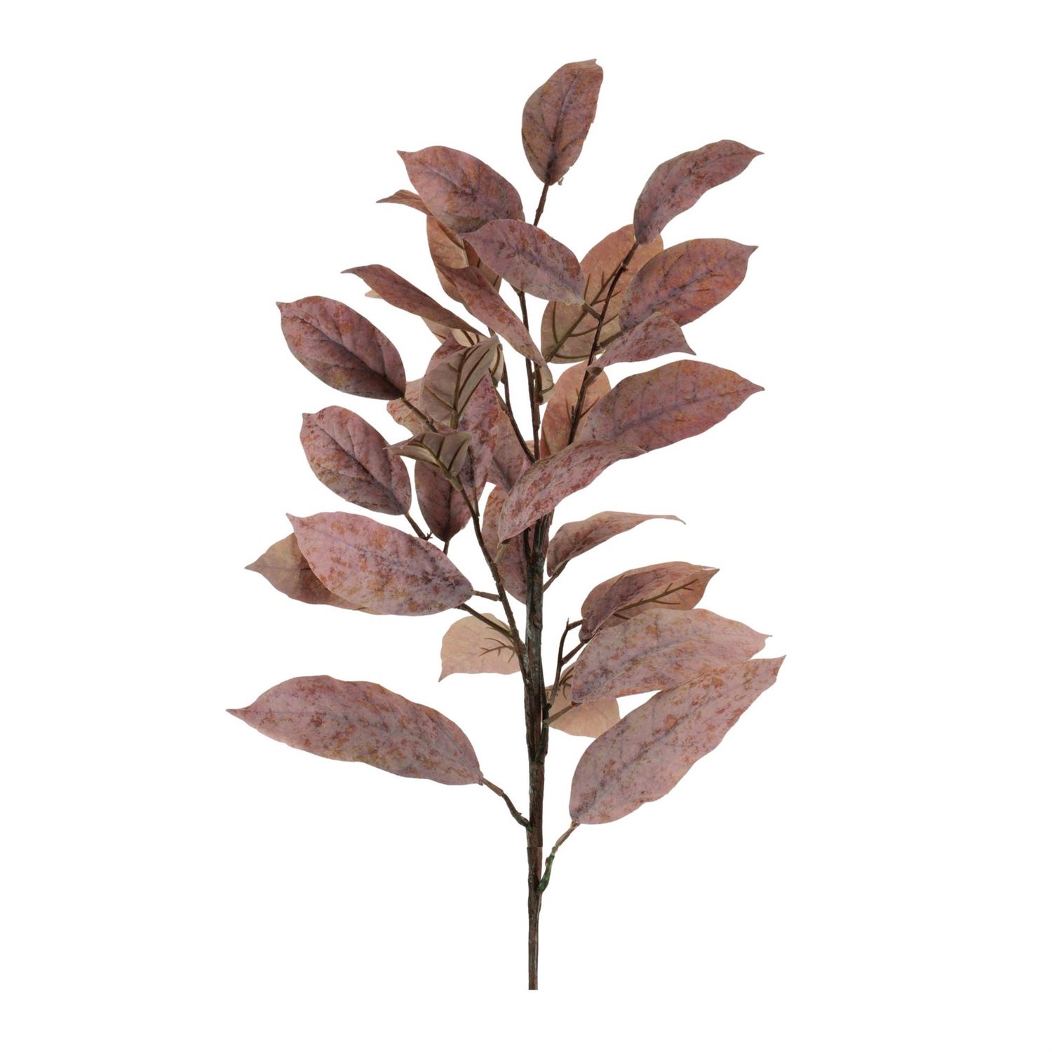 Spray, 39" Rust Leaf
