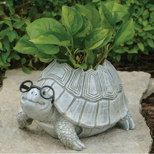 Planter, Turtle w/Glasses