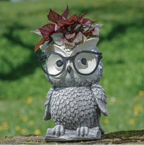 Planter, Owl w/Glasses