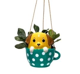 Planter, Pups In Cup Hanging