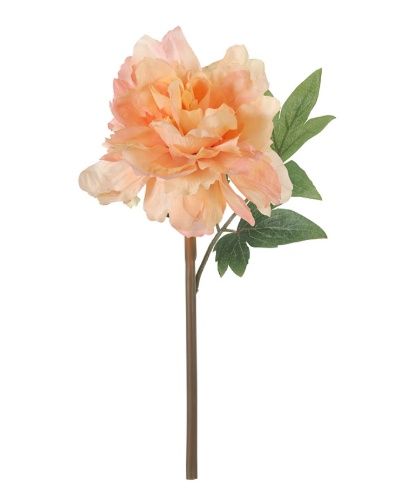 Stem, Peach Peony 14"